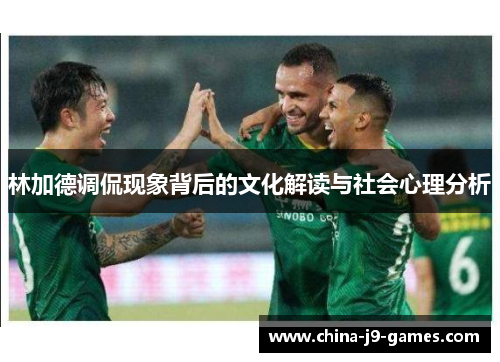 林加德调侃现象背后的文化解读与社会心理分析