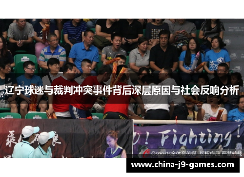 辽宁球迷与裁判冲突事件背后深层原因与社会反响分析