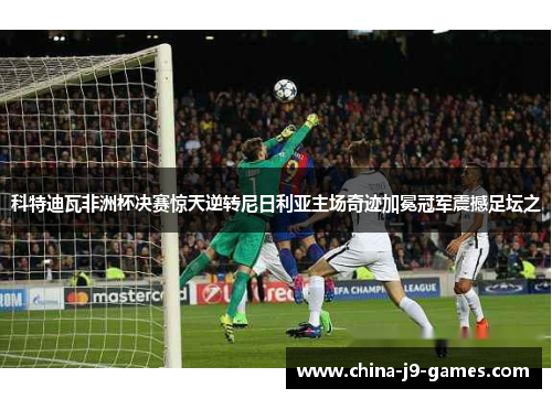 科特迪瓦非洲杯决赛惊天逆转尼日利亚主场奇迹加冕冠军震撼足坛之